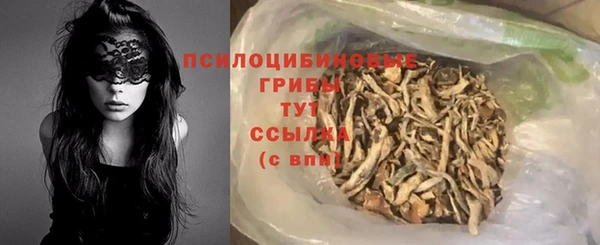 дмт Лиски
