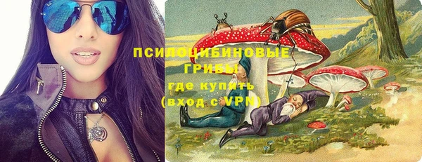 дмт Лиски