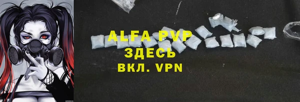 хмурый Липки