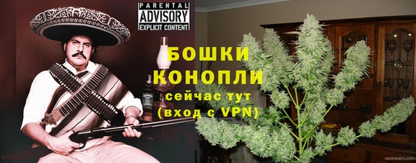 хмурый Липки
