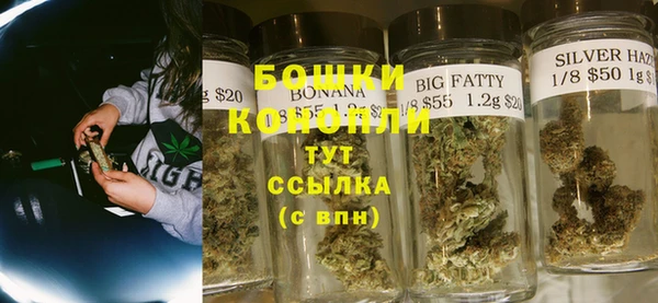 дмт Лиски