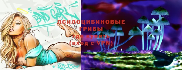 хмурый Липки