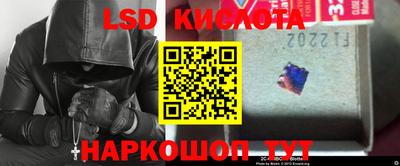 ГАЛЛЮЦИНОГЕННЫЕ ГРИБЫ Можга